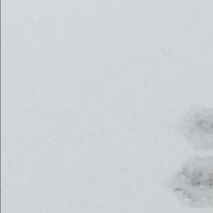 Meet your Posher, Jade